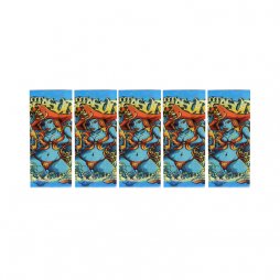 Wraps pour accus 18650 (5pcs) Pirate Girl