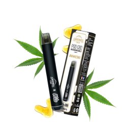 Pod Amnesia rechargeable - Wilo x Greeneo