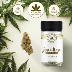 Lemon Haze de CBD (12g) - Hempline