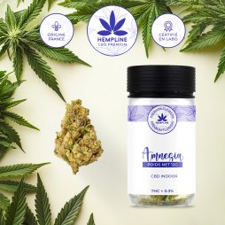 Amnésia CBD Flower (12g) - Hempline