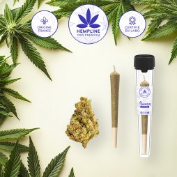 Pre-roll Amnesia (1g) - Hempline