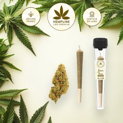 Pre-roll Lemon Haze (1g) - Hempline