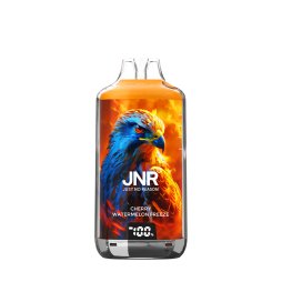 28000 Puff Falcon-X 20mg - JNR
