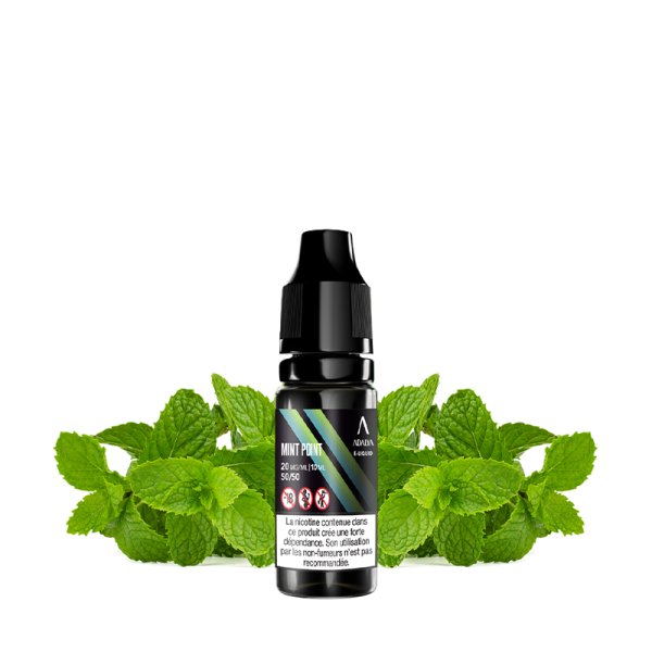 Mint Point Nic Salt 20mg 10ml(pack of 2pcs) - Adalya