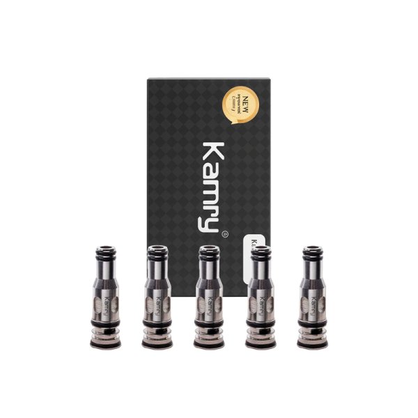 Résistances P6 0.5Ω (5pcs) - Kamry