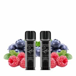 Pre-Filled Cartridges Elfa Pro 20mg 2ml (2pcs) - Elfbar