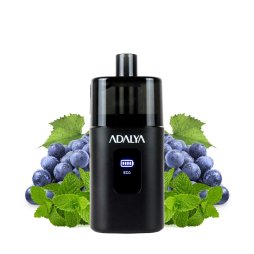Starter Kit Myvo 30K 1300mAh  10ml / 8% - Adalya
