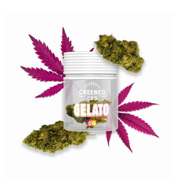 Gelato Fleur de CBD (5g) - Greeneo