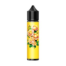 Custard Citron des îles 0mg 50ml - Artist