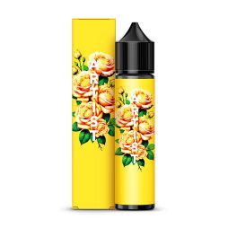 Custard Citron des îles 0mg 50ml - Artist
