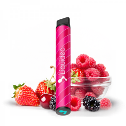 Starter Kit 600 Puffs 9mg (1pc) - Wpuff Original by Liquideo
