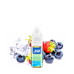Wild Berries Ice Nic Salt 20mg 10ml - JNR