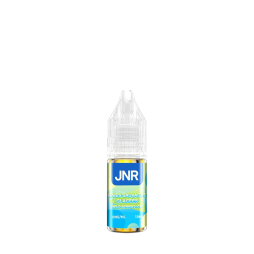 Wild Berries Ice Nic Salt 20mg 10ml - JNR