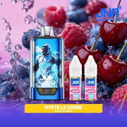 Kit Gorilla X 43K 1000mAh 15ml / 2% - JNR