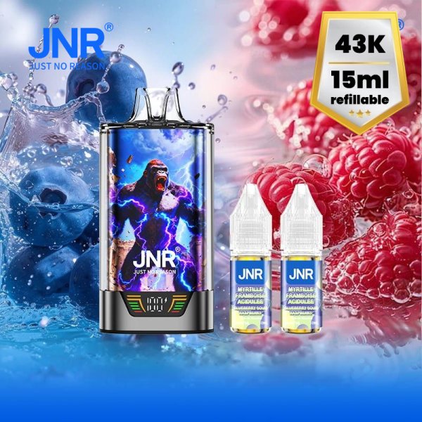 Pack Gorilla X 43K 1000mAh 15ml / 2% - JNR