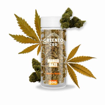 Mango Haze Fleur de CBD (20g) - Greeneo