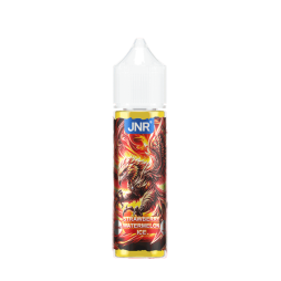 Strawberry Watermelon Ice 0mg 50ml - JNR