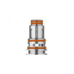 Résistances Mesh P 0.2/0.4Ω (5pcs) - Geekvape